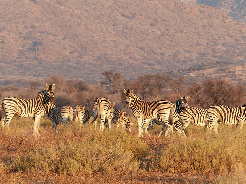 Namibia