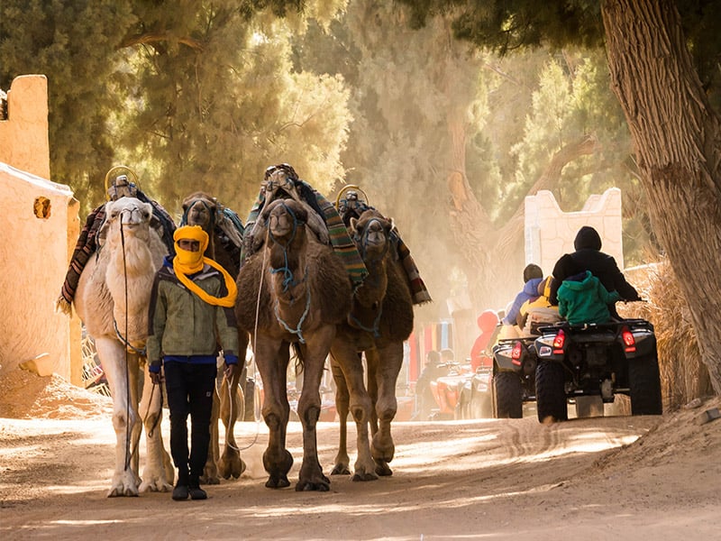 Tunisia in Camper - Caravanbacci