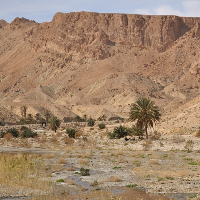 Tunisia in Camper - Caravanbacci