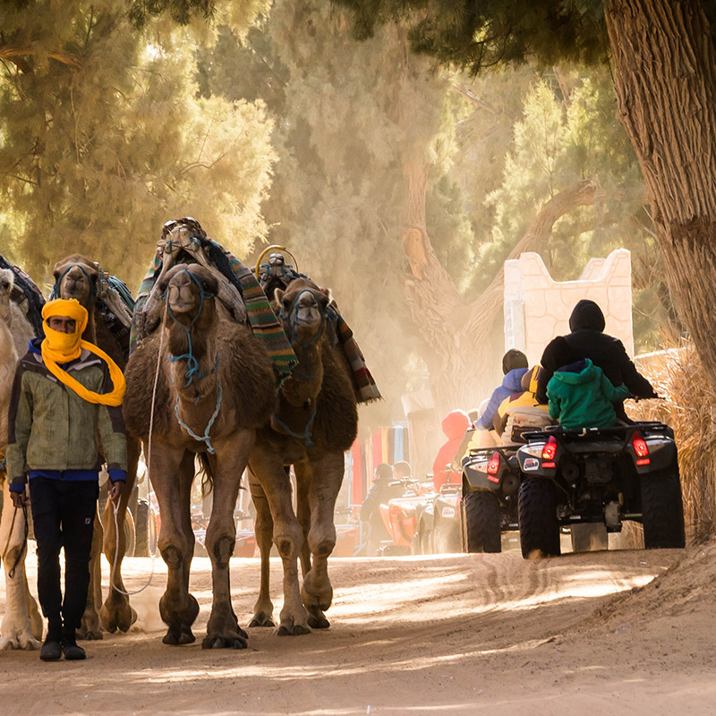 Douz Tunisia in Camper - Caravanbacci