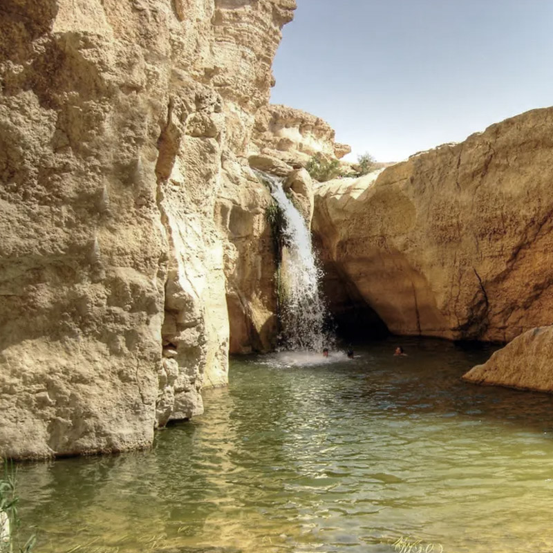 Tunisia in Camper Tozeur - Caravanbacci