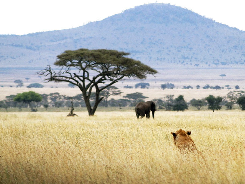 Rift Valley