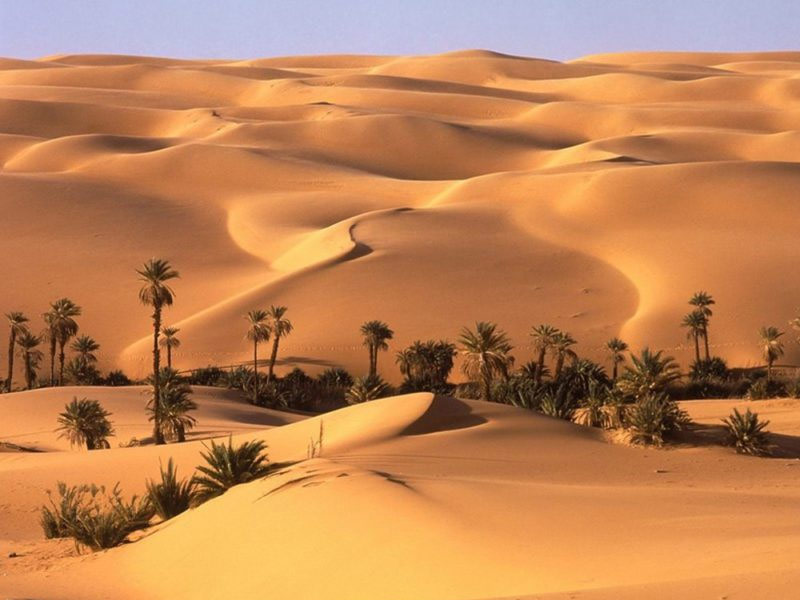 Libia in Camper Deserto