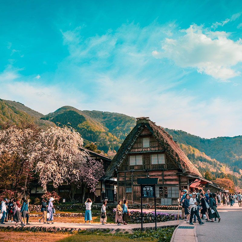 Shirakawago