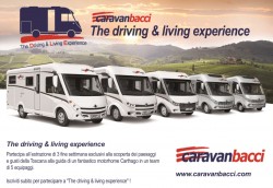driving and living experience