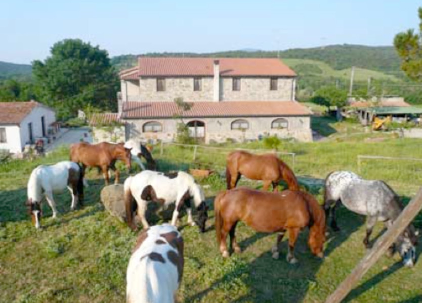 azienda agricola sant agnese sosta camper caravanbacci