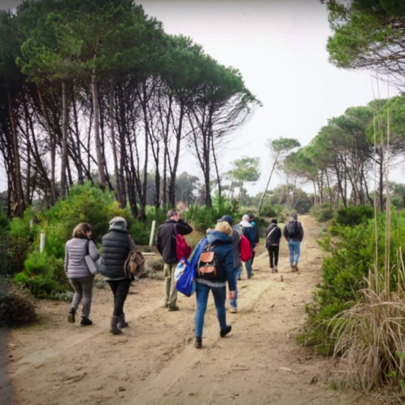 Passeggiata San Rossore | Caravanbacci.com