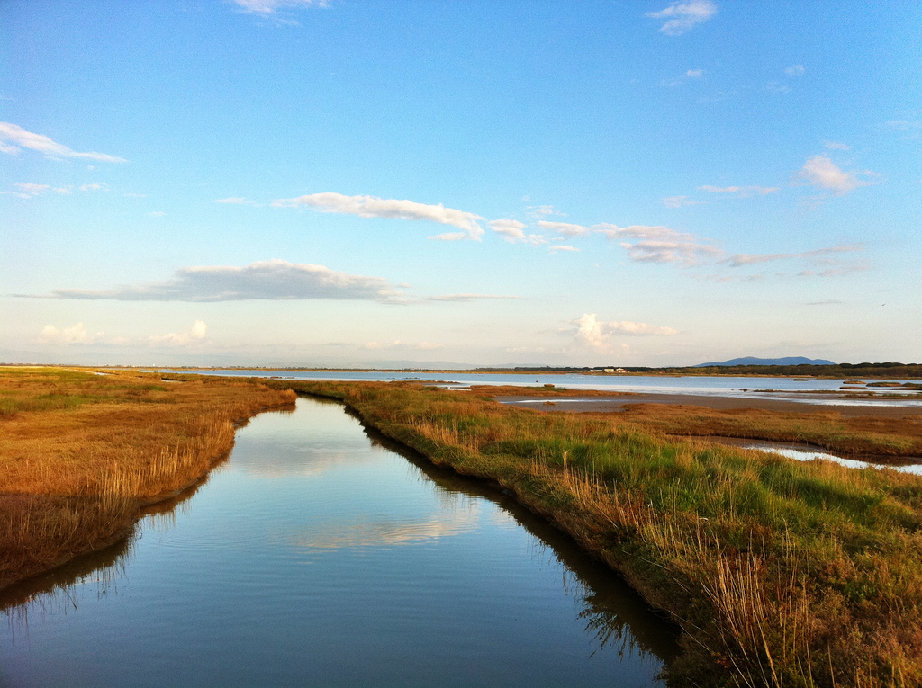 maremma