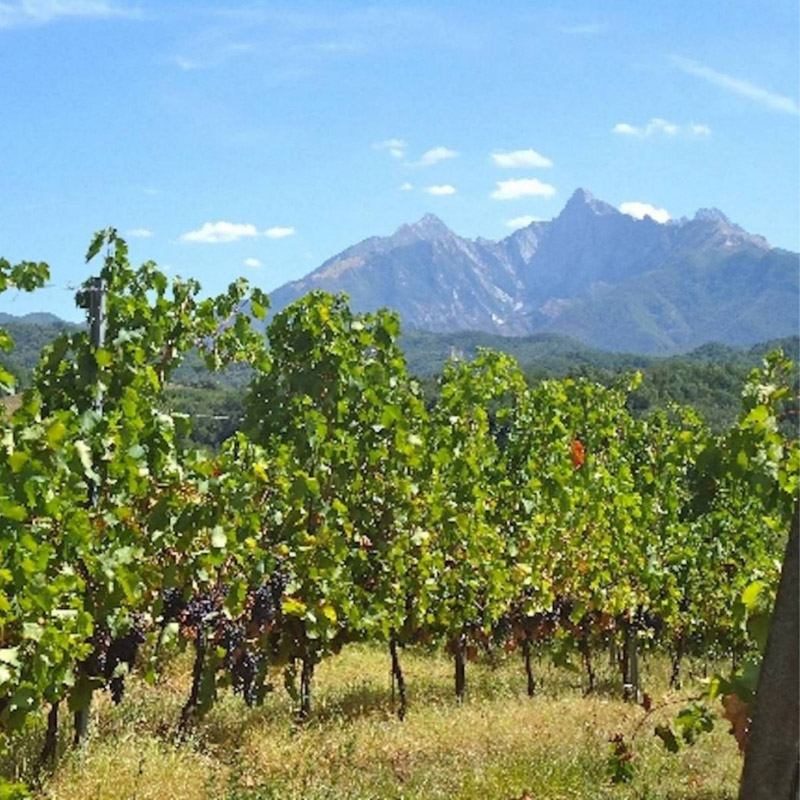 In Camper alla Scoperta della Strade del Vino - Caravanbacci