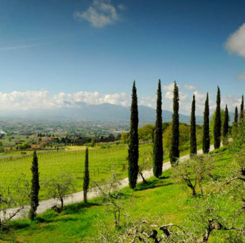 In Camper alla Scoperta della Strade del Vino - Caravanbacci