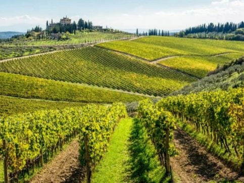 In Camper alla Scoperta della Strade del Vino - Caravanbacci In Camper alla Scoperta della Strade del Vino - Caravanbacci