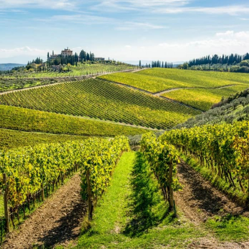 In Camper alla Scoperta della Strade del Vino - Caravanbacci