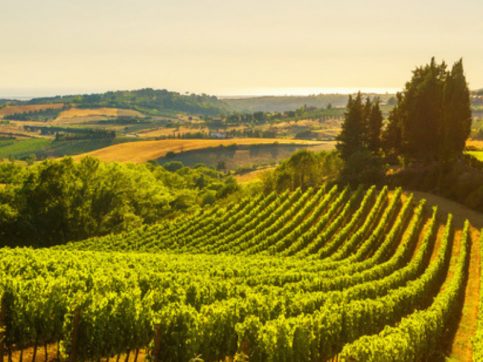 In Camper alla Scoperta della Strade del Vino - Caravanbacci