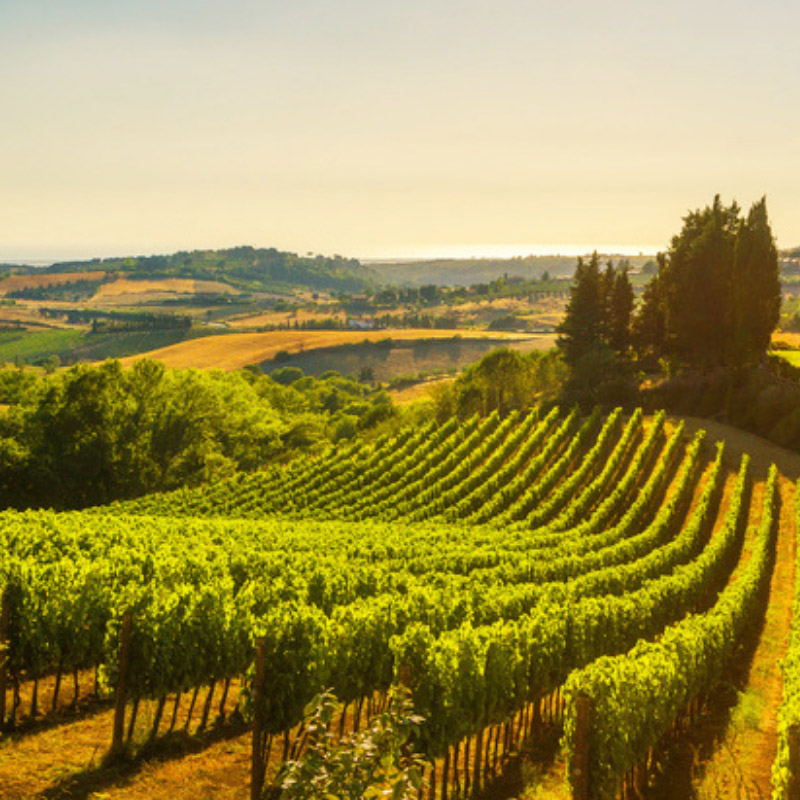 In Camper alla Scoperta della Strade del Vino - Caravanbacci