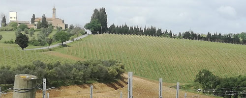 Tenuta del Ghisone