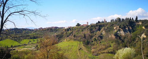 Azienda Agricola Il Tufo