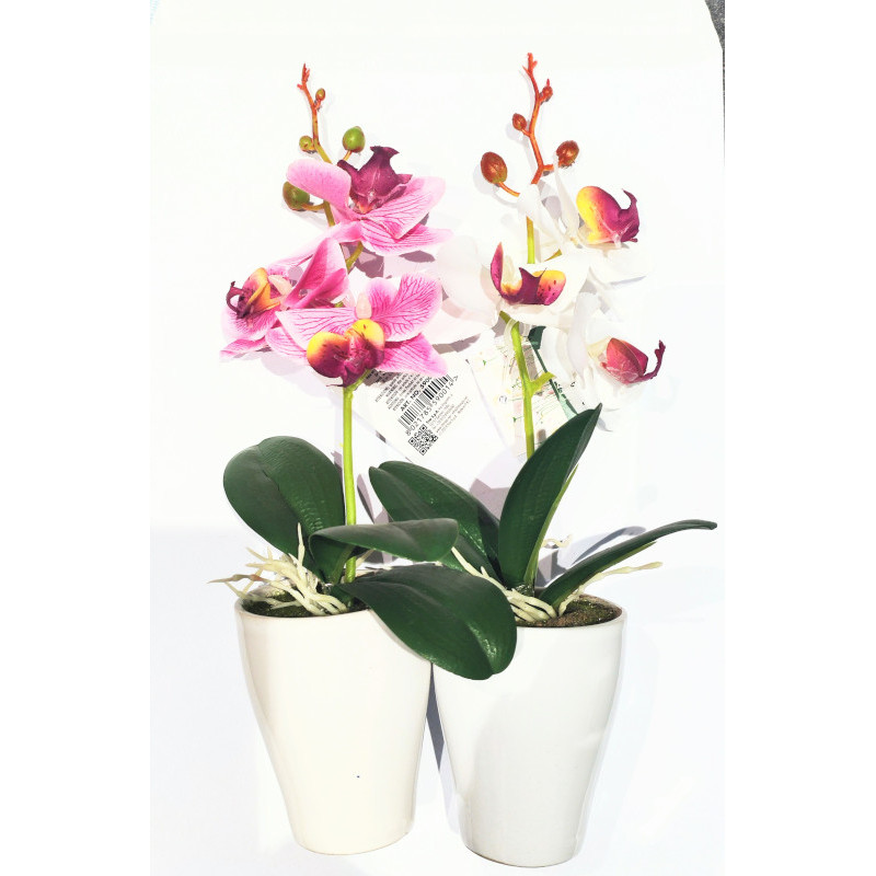 Orchidea decorativa in vaso - Caravanbacci