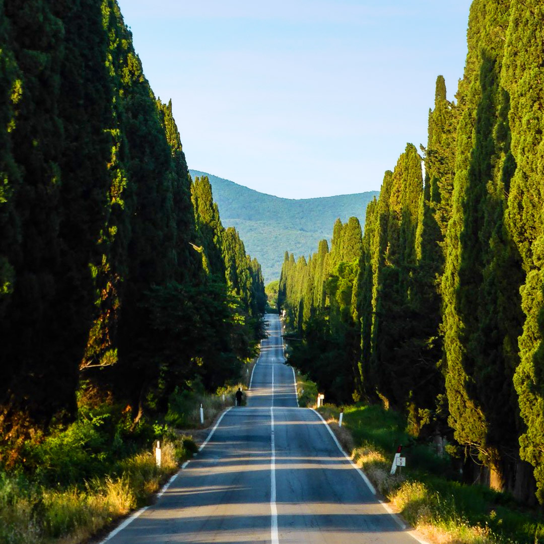 Bolgheri - Caravanbacci