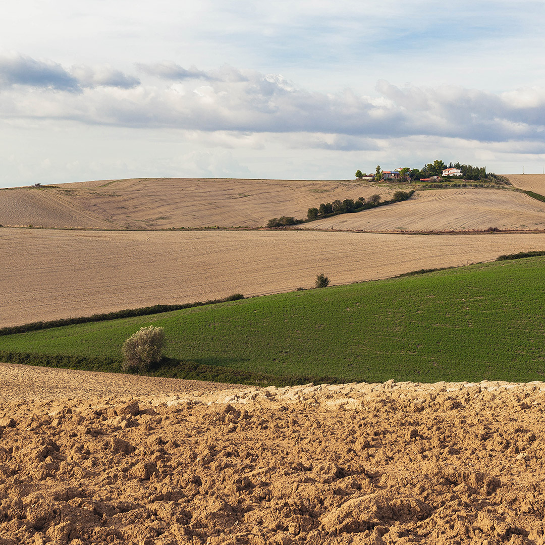 Orciano - Caravanbacci