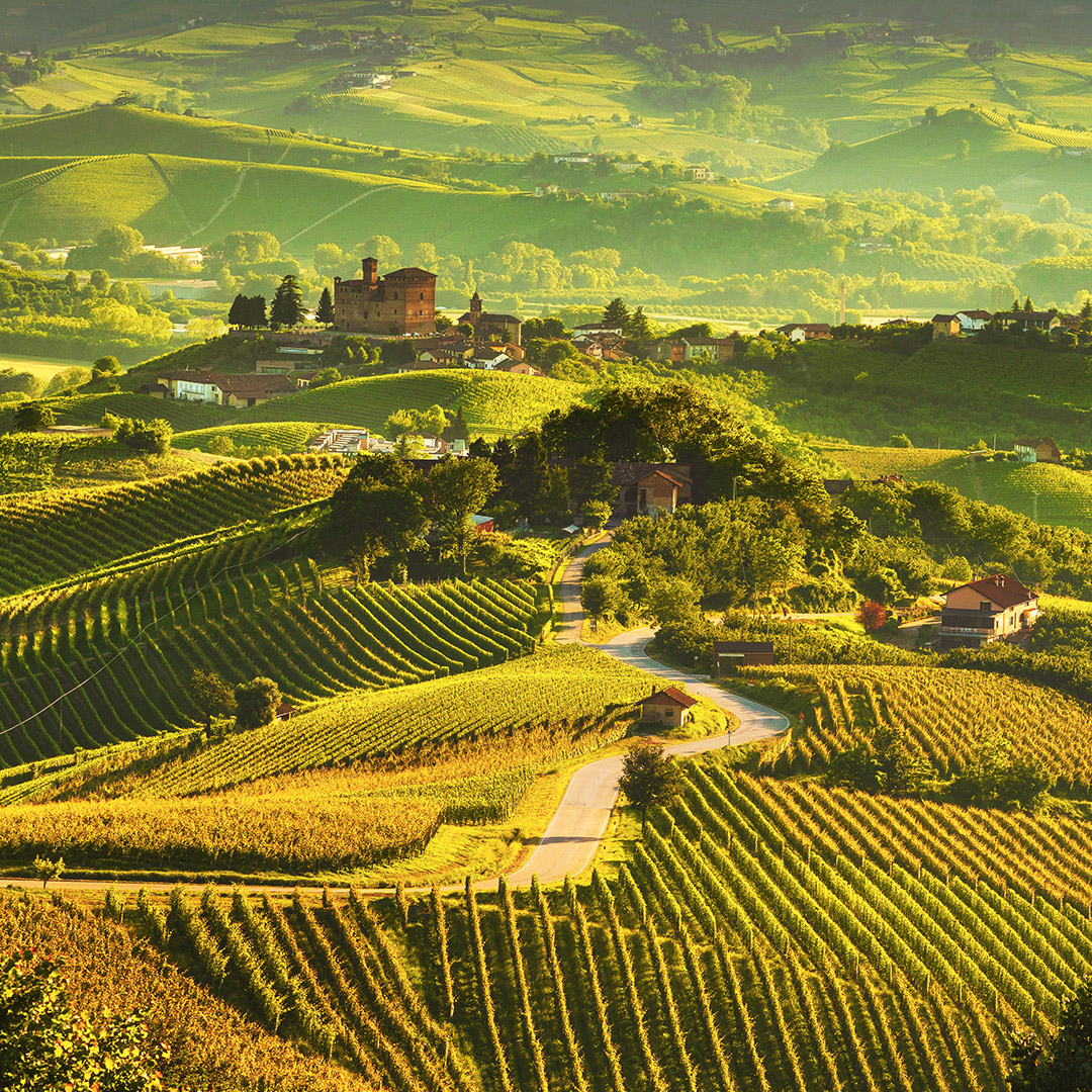 Itinerario enogastronomico nelle Langhe in Camper