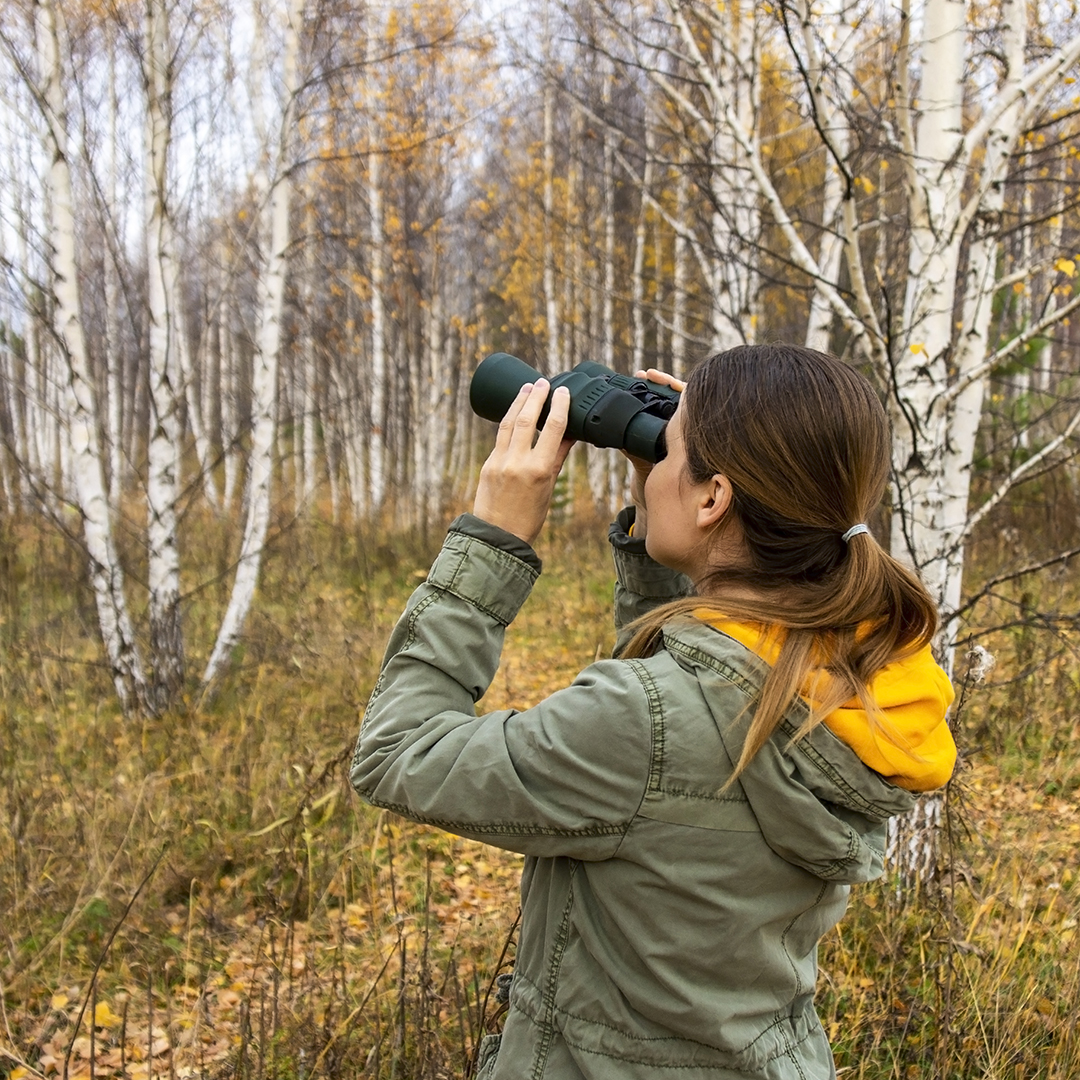 Caravanbacci - Idea weekend con il camper: birdwatching in Toscana