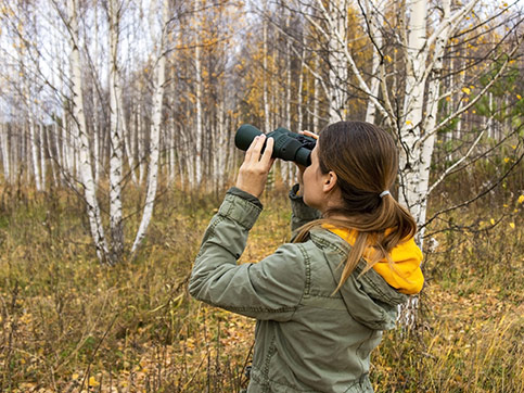 Caravanbacci - Idea weekend con il camper: birdwatching in Toscana