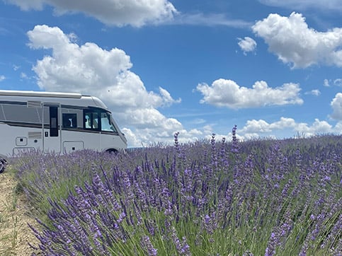 Il piacere di scoprire gli oli e le loro storie a bordo di un camper