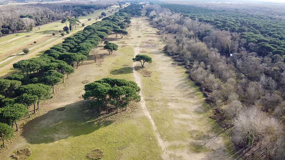 caravanbacci-sanrossore-parco