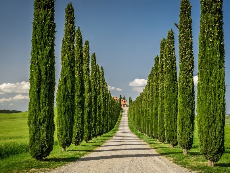 Estate 2026 in Camper_ Toscana